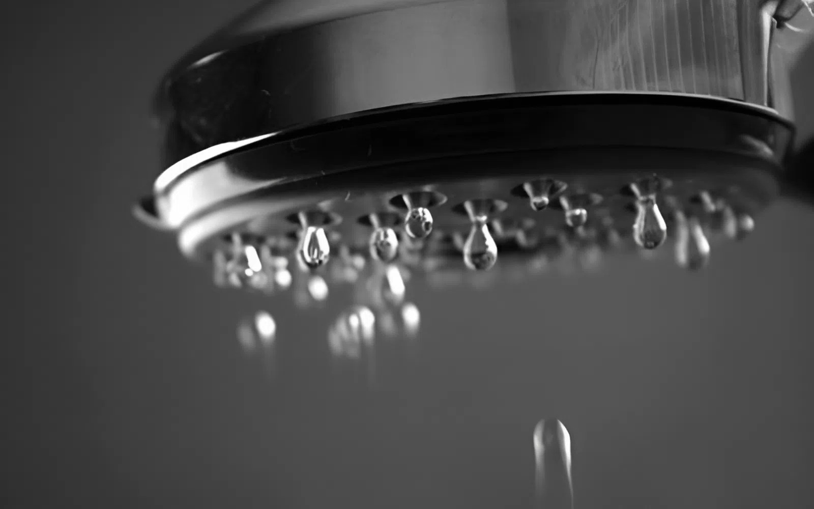 Sen tắm bị rò rỉ nước