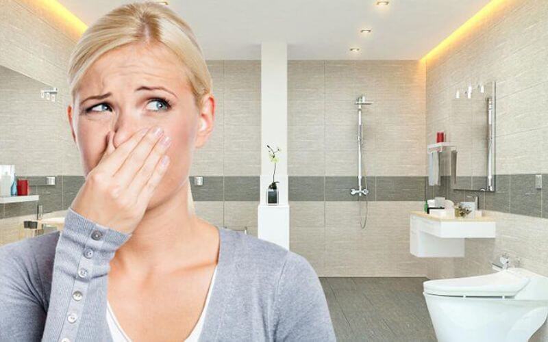 Cống nhà vệ sinh bị trào ngược dẫn đến mùi khó chịu