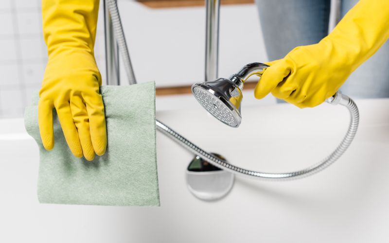Nên vệ sinh bồn 1-2 lần trong tháng để đảm bảo vệ sinh