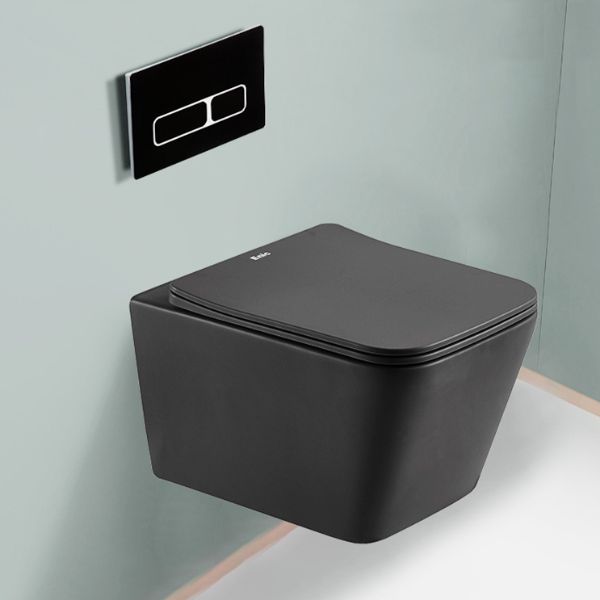 Bồn cầu treo tường V2