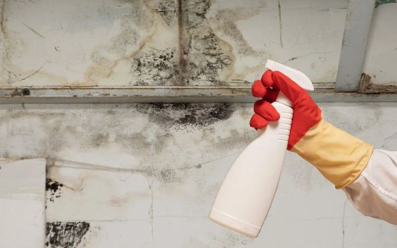 Cách làm sạch gạch nhám bị bám rêu mốc