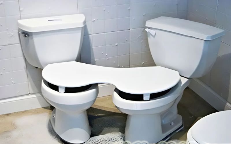 Sự thật về bồn cầu đôi 