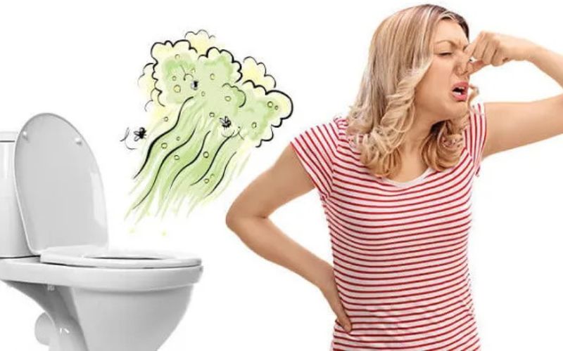 Không bỏ giấy vào bồn cầu để tránh tắc gây ra mùi hôi
