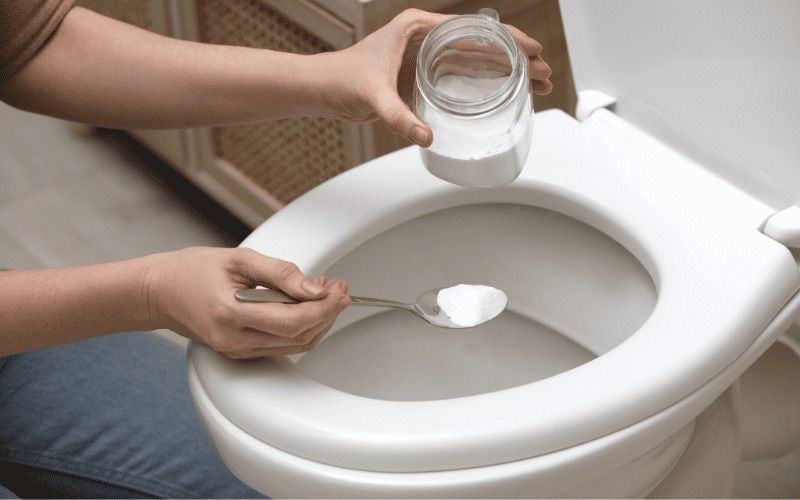Phục hồi hệ vi sinh trong bể phốt bằng men vi sinh