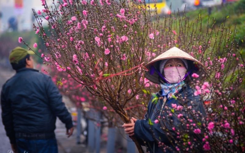 Mua hoa chưng tết