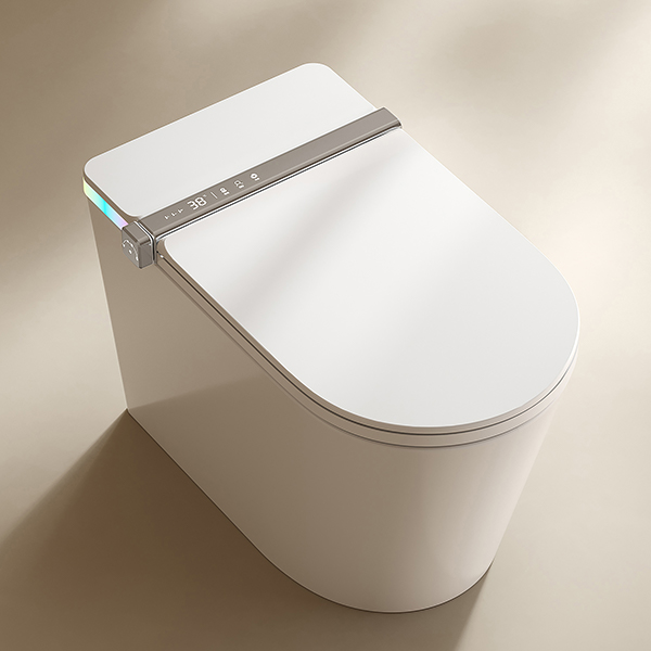 Cận cảnh mẫu bồn cầu thông minh Enic 