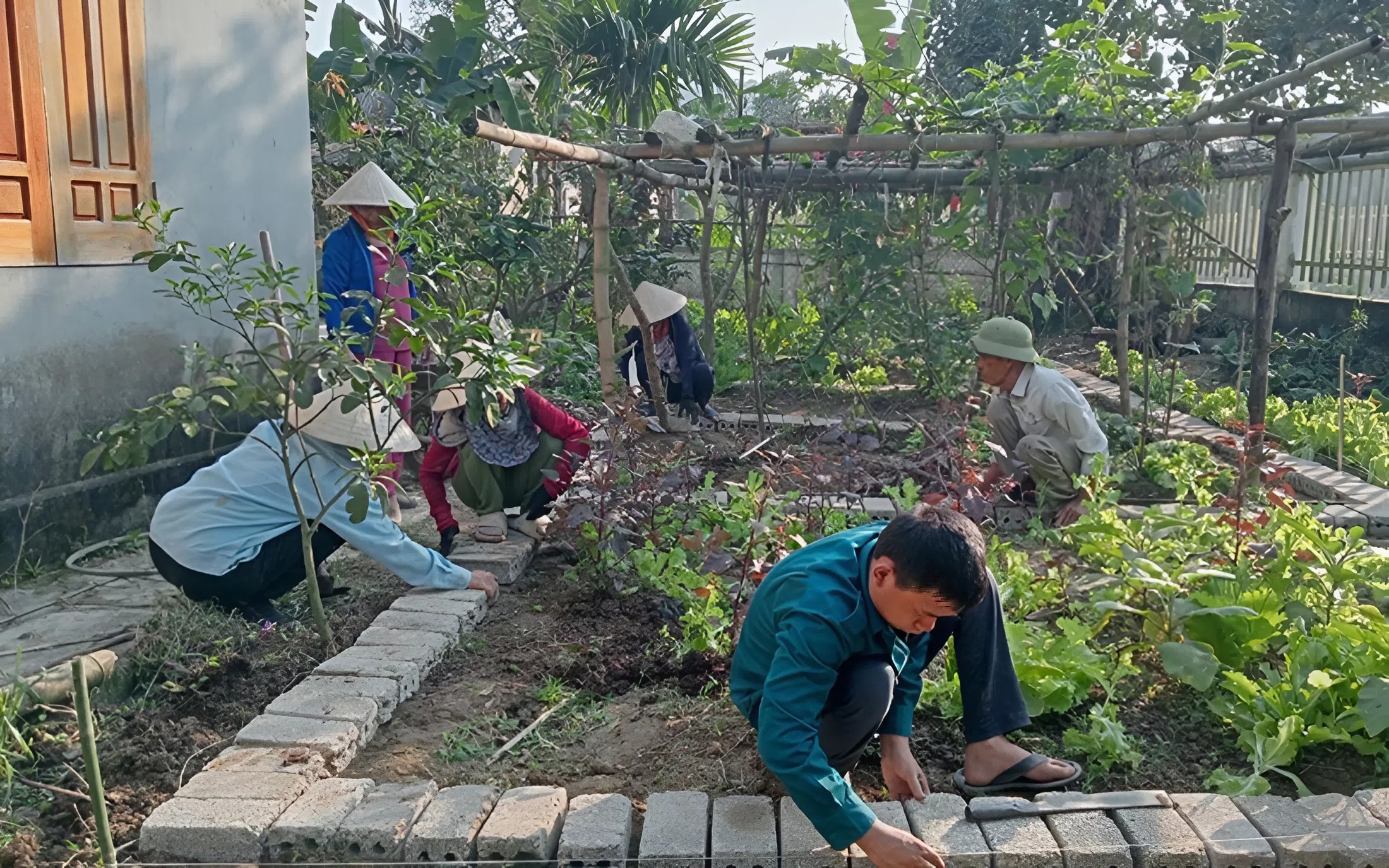 Dọn dẹp sân vườn