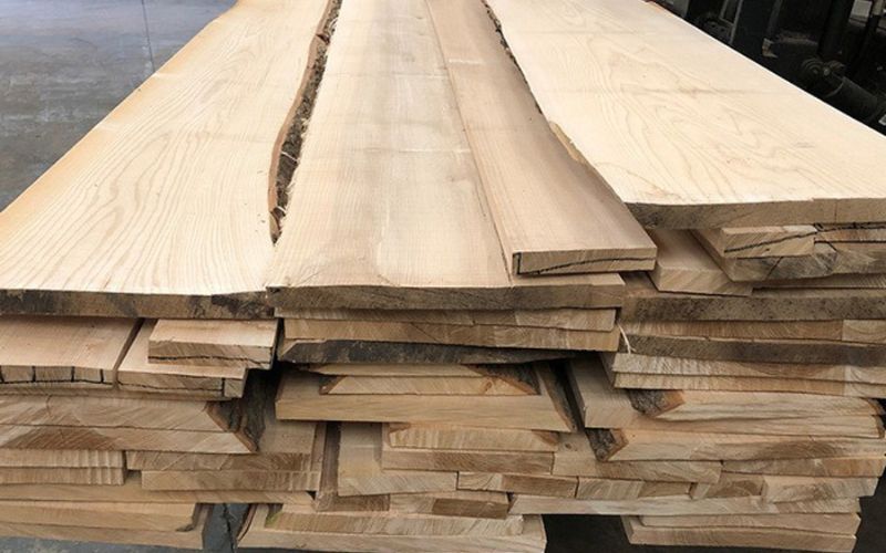 Loại gỗ ở vùng có khí hậu ôn đới 