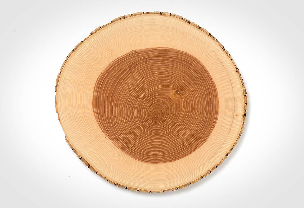 Gỗ tần bì có đường vân đẹp, đều 