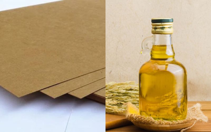 Sử dụng dầu ăn và bìa carton để diệt ruồi 