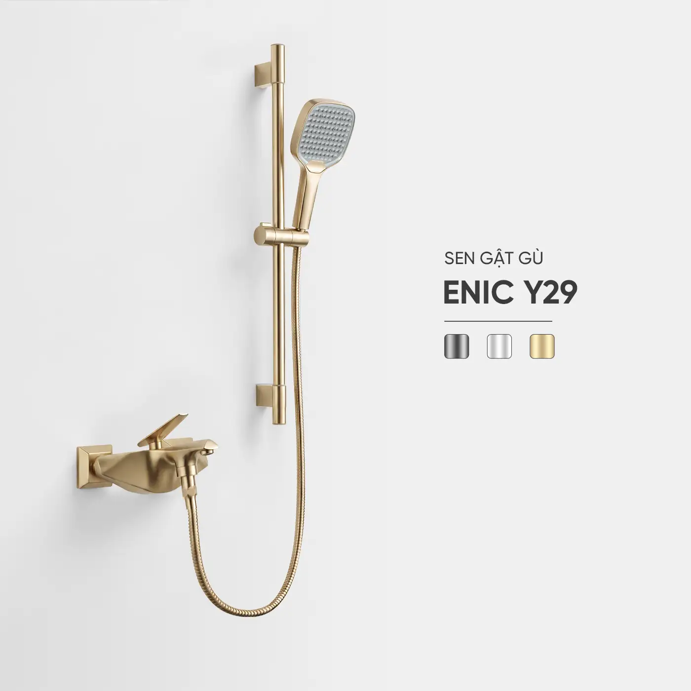 4.1_SEN GẬT GÙ - Y29_GOLD