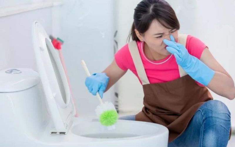 Dấu hiệu cảnh báo bồn cầu trào ngược 
