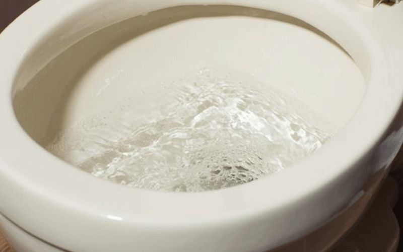 Lợi ích khi sử dụng men vi sinh bồn cầu 